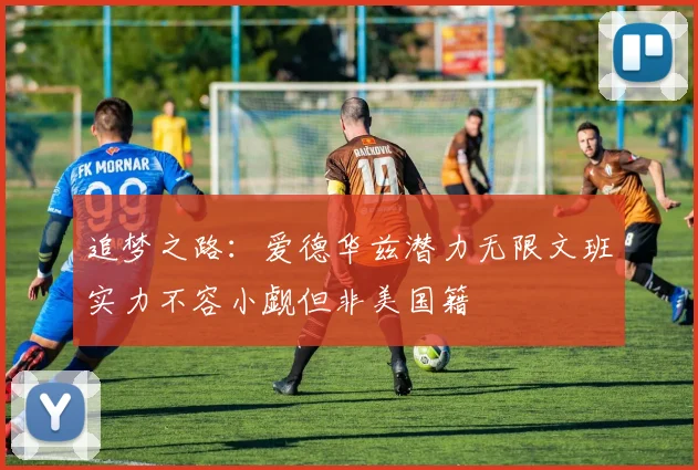 追梦之路：爱德华兹潜力无限文班实力不容小觑但非美国籍