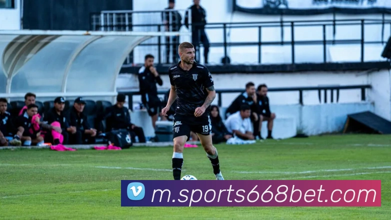 668体育平台生态图